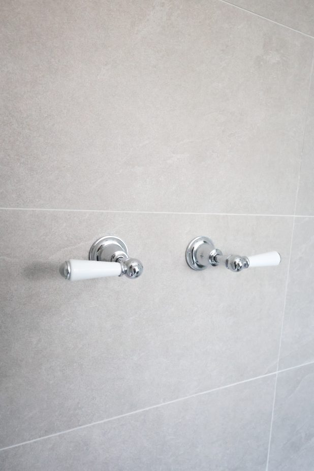 white handle level bathroom
